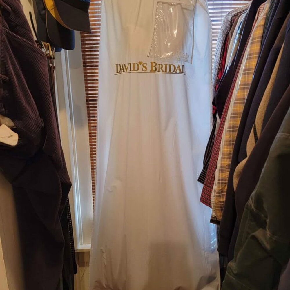 David's Bridal Wedding Dress - Picture 3 of 8